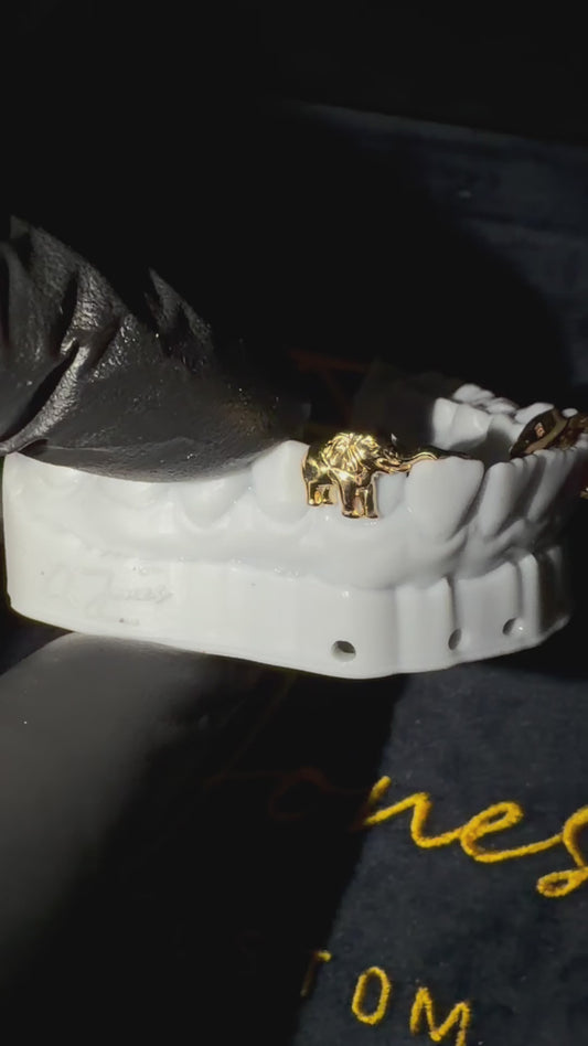 Delta Sigma Theta Dental Couture (Grill)