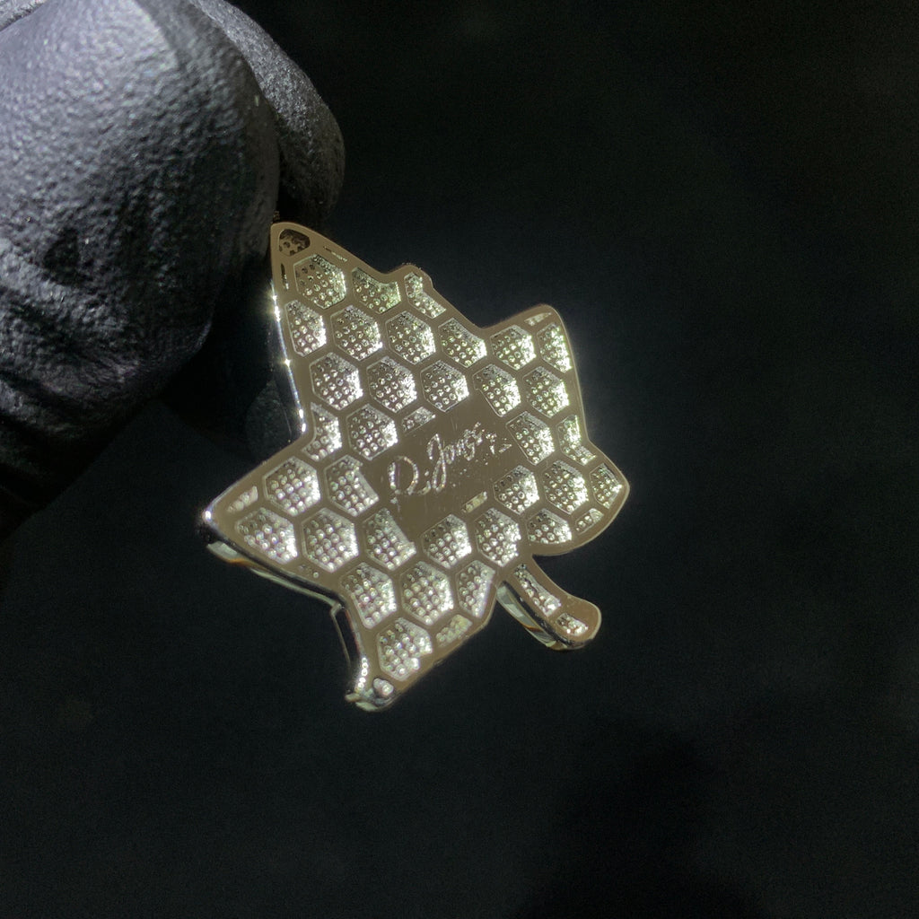 Alpha Kappa Alpha pendant worn by client